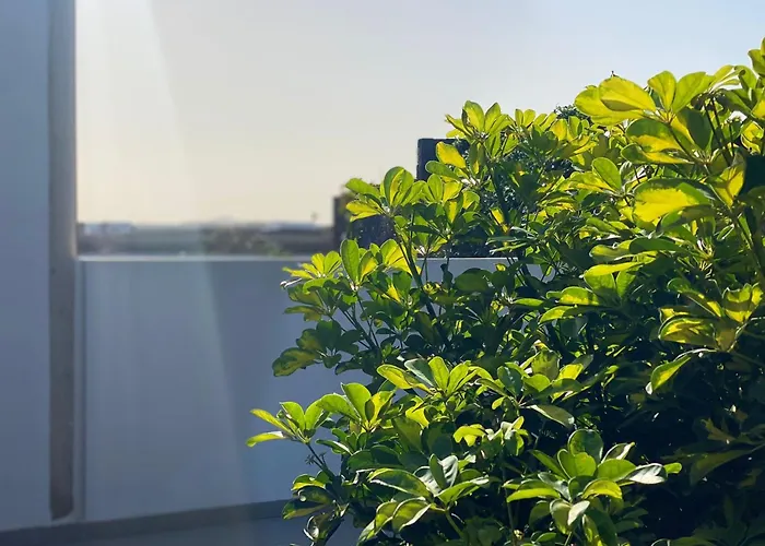 Holiday home Quintero Tinguaton